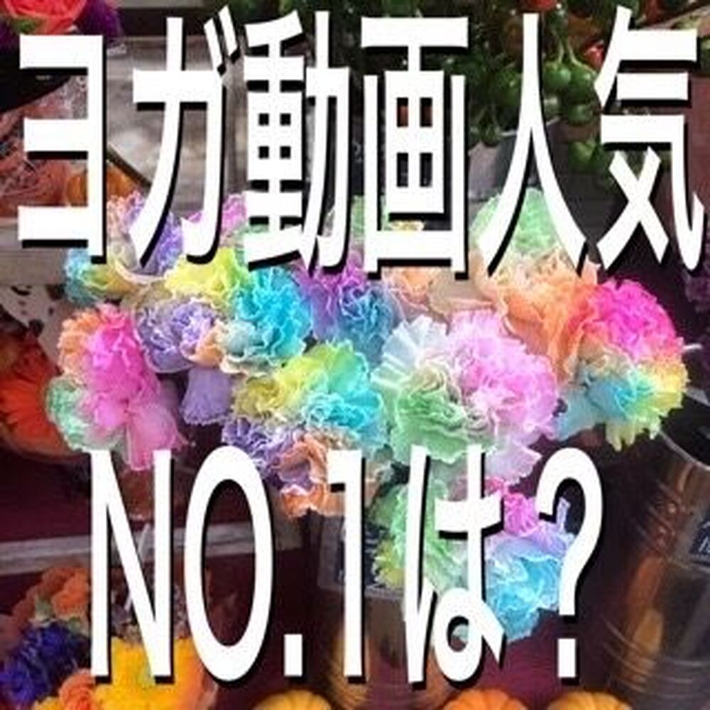 ブログ画像