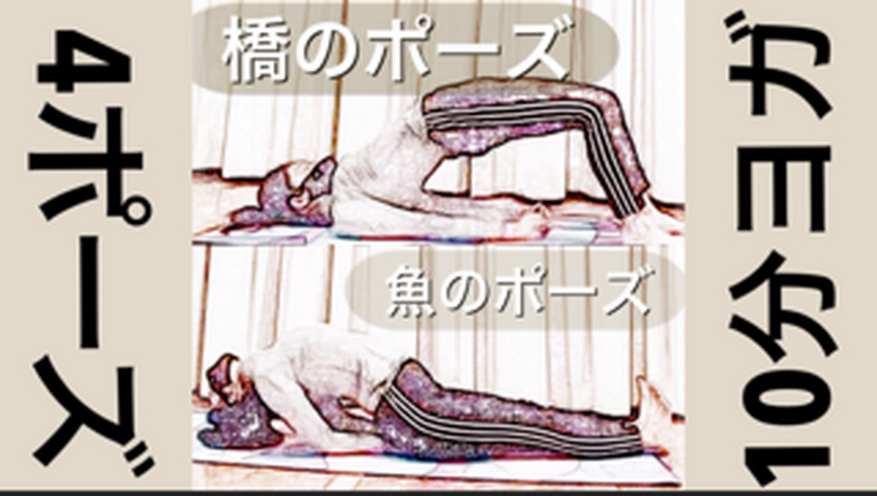 ブログ画像