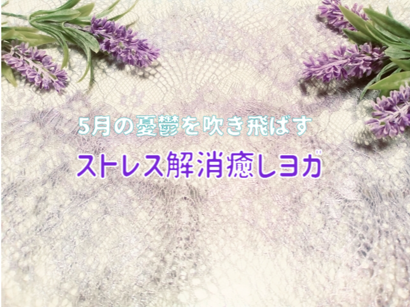 ブログ画像